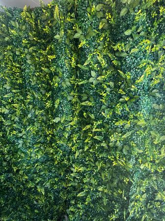 Lush indoor green wall — dense vertical garden of mixed fern and small-leaf foliage creating a vibrant artificial greenery backdrop for interior decor