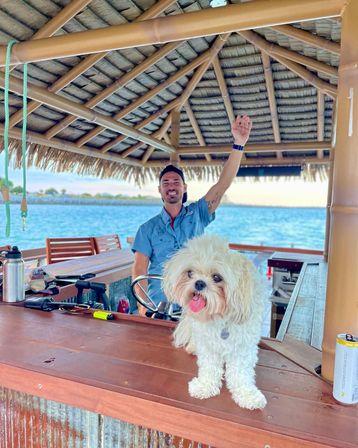 Fluffy white dog with tongue out perched on a dockside tiki-bar counter under a thatched roof, with a smiling man waving by the blue ocean.