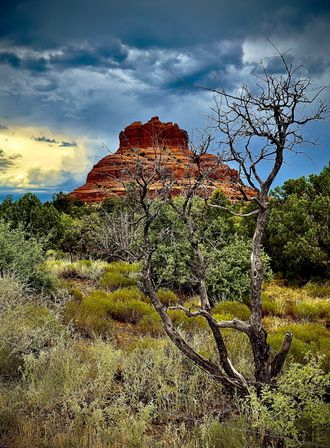 Sedona Red Rocks and Wine Country Tour image 11