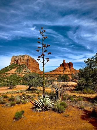 Sedona Red Rocks and Wine Country Tour image 20
