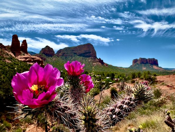 Sedona Red Rocks and Wine Country Tour image 18