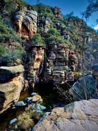Sedona Red Rocks and Wine Country Tour image 14