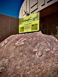 Antelope Canyon and Horseshoe Bend Tour image 19