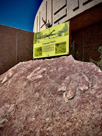 Antelope Canyon and Horseshoe Bend Tour image 19