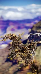 Grand Canyon with Sedona and Oak Creek Canyon Tour image