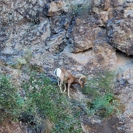 Apache Trail Histories and Mysteries image 9