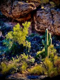 Apache Trail Histories and Mysteries image 14