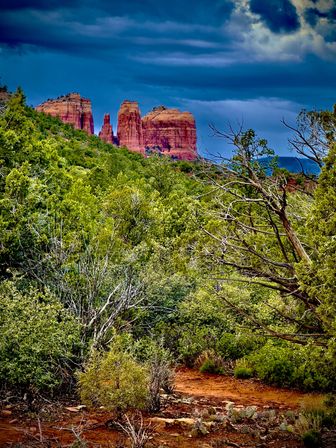 Sedona Red Rocks and Wine Country Tour image 16