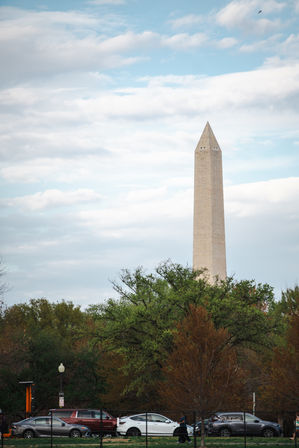Washington Monument obelisk rising above leafy trees and parked cars under a cloudy blue sky in Washington, D.C.