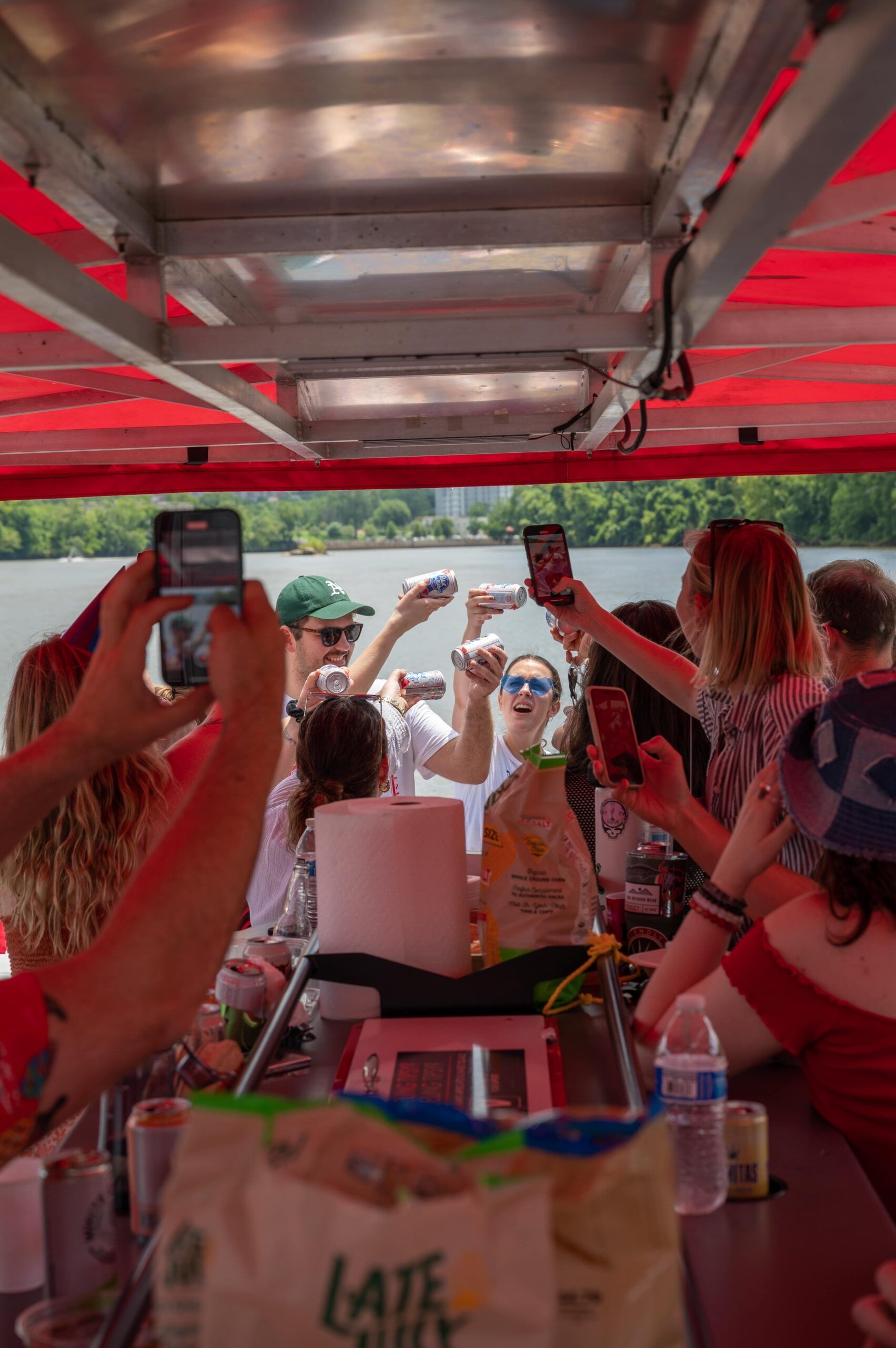 Private Pontoon Party Boat Cruise from Rocketts Landing image 2