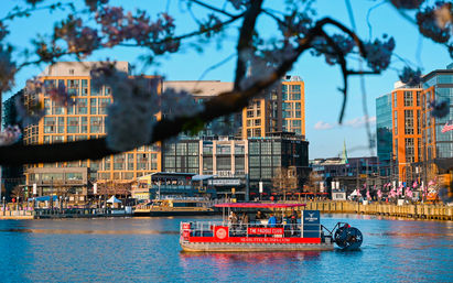 Spring waterfront with cherry blossoms framing a red paddlewheel tour boat on blue harbor water in front of modern downtown buildings in golden light.