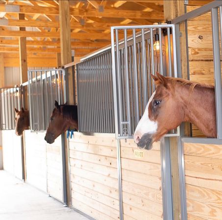 Wine Tasting + Interactive Horse Experience by Eqwine Social image 6