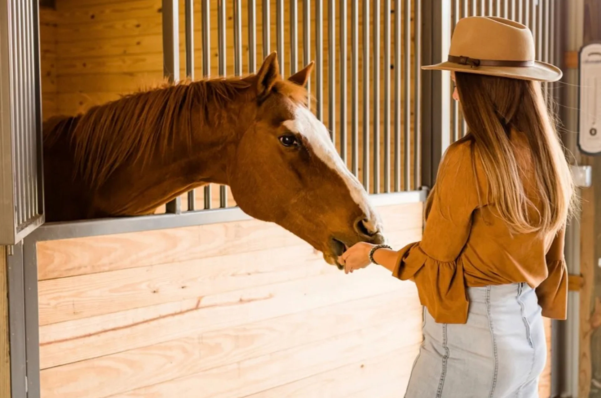 Person in a wide-brim hat feeding a chestnut horse over a wooden stall in a sunlit barn stable