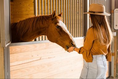 Person in a tan hat and rust-colored blouse feeding a chestnut horse with a white blaze through a wooden stable stall in a barn