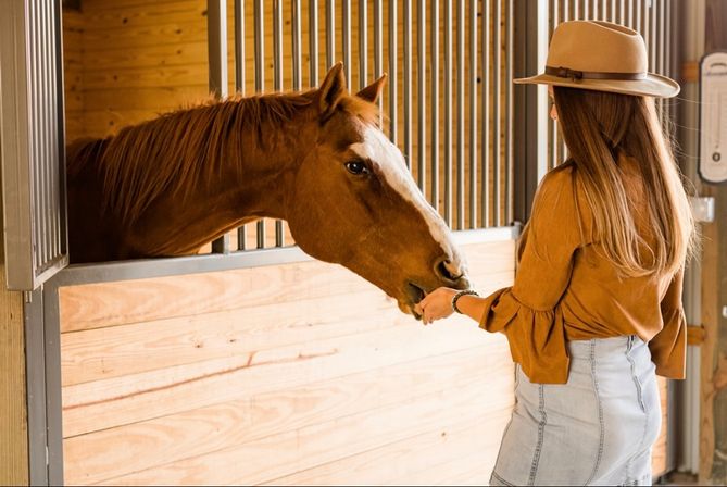 Person in a tan hat and rust-colored blouse feeding a chestnut horse with a white blaze through a wooden stable stall in a barn
