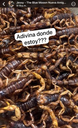 Close-up of piled fried scorpions insect snack with a white label reading "Adivina donde estoy???", Mexican street-food style.