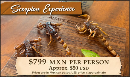 Scorpion Mezcal & Tequila Tasting Near Cabo San Lucas Marina image 9