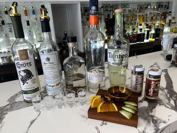 Cabo San Lucas scorpion & tequila tasting image 1