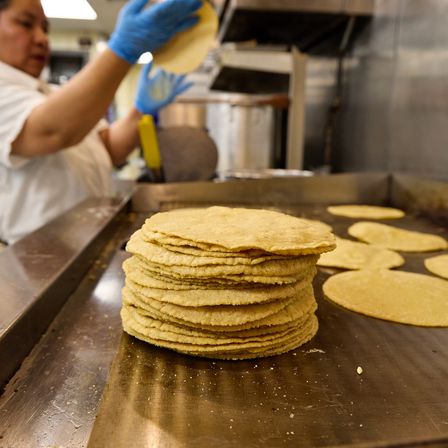 Stack of golden corn tortillas on a hot griddle in a busy commercial kitchen, with a cook wearing blue gloves flipping tortillas in the background.