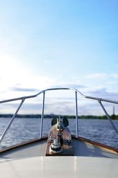 Sunlit motorboat bow with anchor chain and stainless-steel rails heading toward calm water and a tree-lined shoreline under a bright blue sky