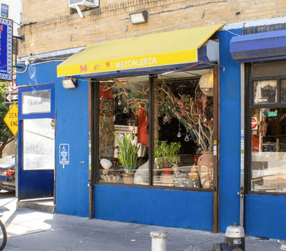 Bright blue city storefront with a yellow awning, large display windows filled with plants and decorative branches, sidewalk with parked bikes, cars, and a stop sign.