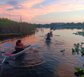 Three kayakers glide across a calm urban lake at a pink-sky sunset, paddling past reeds toward distant waterfront buildings.