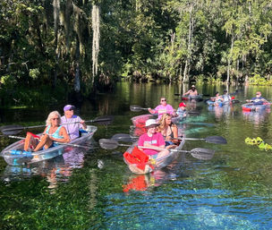 Group of paddlers in clear kayaks gliding over crystal-clear spring water, framed by lush green trees and hanging Spanish moss on a sunny day.