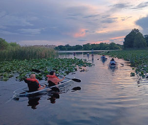 Group of kayakers paddling clear kayaks through lily pads on a calm lake at sunset, pink and blue sky reflecting on the water