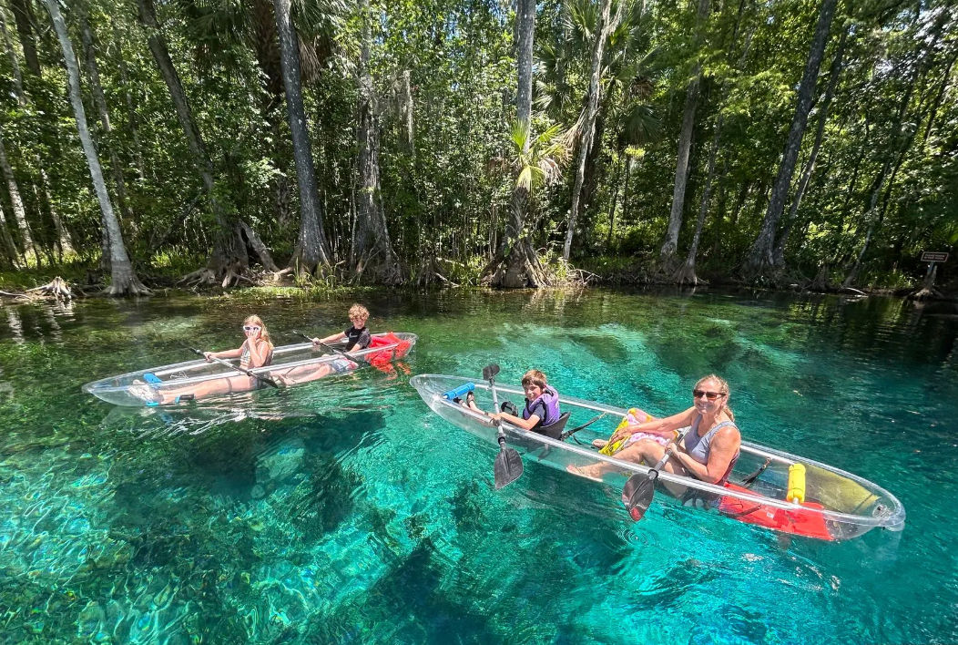 Four people paddling transparent kayaks on crystal-clear turquoise spring water with a visible riverbed and cypress-lined forested shoreline on a sunny day.
