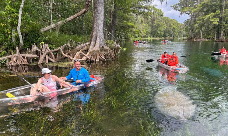 Kayakers in clear-bottom kayaks paddling a freshwater spring with submerged grasses and a manatee visible beneath the water, cypress trees and exposed roots along the bank.