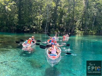 Group of kayakers paddling clear turquoise spring water in transparent kayaks along a forested riverbank on a sunlit outdoor adventure.