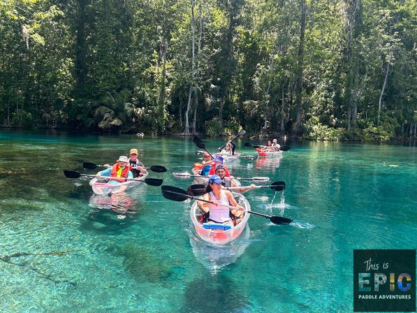 Group of kayakers paddling clear turquoise spring water in transparent kayaks along a forested riverbank on a sunlit outdoor adventure.