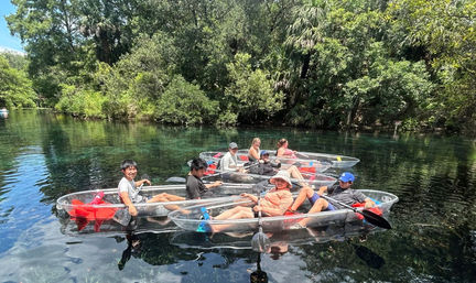 Group paddling transparent kayaks on a crystal-clear natural spring, surrounded by lush green trees and tropical foliage