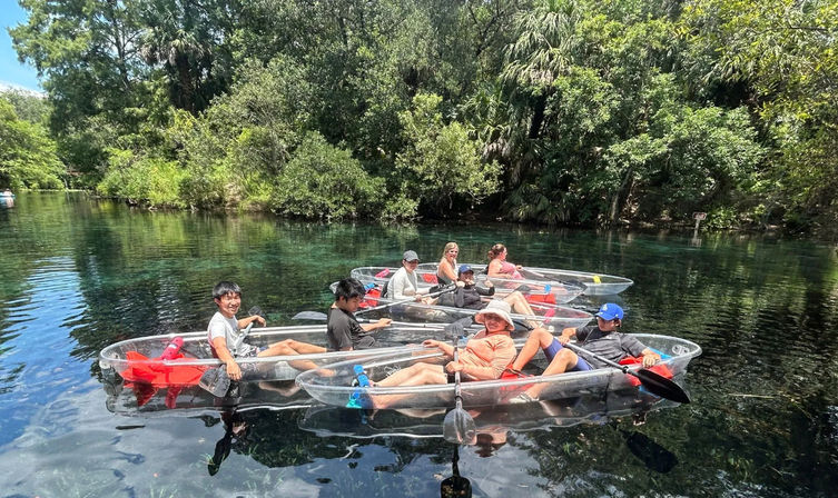 Group paddling transparent kayaks on a crystal-clear natural spring, surrounded by lush green trees and tropical foliage