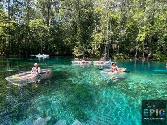 Group of paddlers in transparent kayaks on a turquoise crystal-clear freshwater spring surrounded by lush riverside trees
