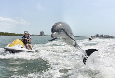 Bottlenose dolphin breaching beside a yellow jet ski with two riders in coastal waters, wake spray and distant waterfront buildings under a blue sky