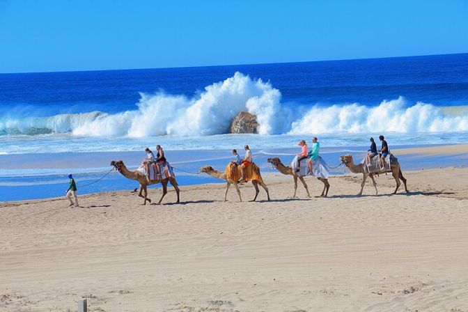 Incredible Excursions, Tours & Boat Rentals in Cabo image 119
