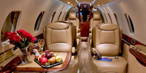 Incredible Excursions, Tours & Boat Rentals in Cabo image 68