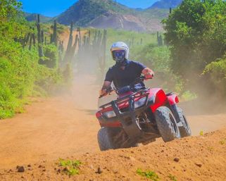 Rider on a red ATV kicking up dust on a sunny desert dirt trail lined with tall cacti and green scrub, mountains rising in the background.