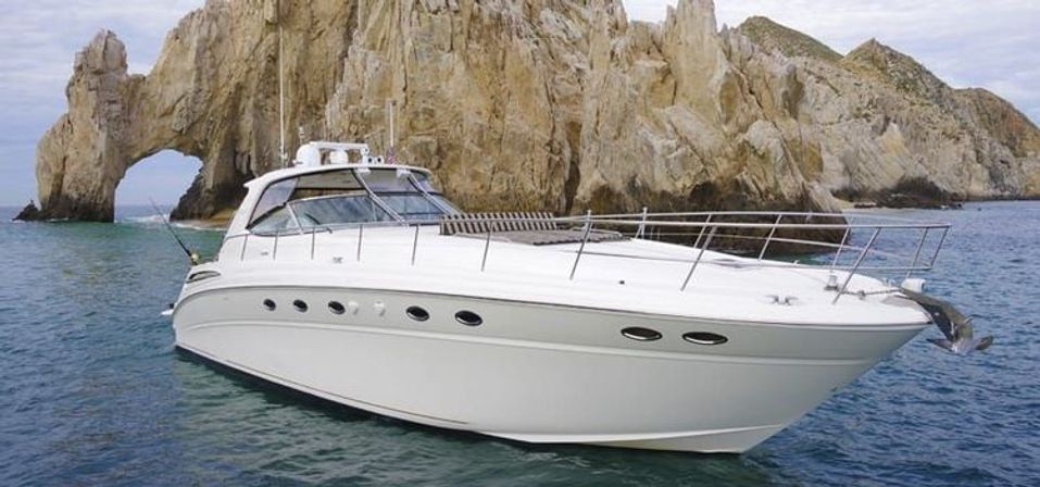 Incredible Excursions, Tours & Boat Rentals in Cabo image 9