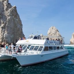 Incredible Excursions, Tours & Boat Rentals in Cabo image 163