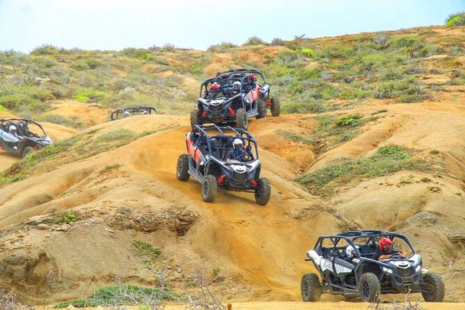 Incredible Excursions, Tours & Boat Rentals in Cabo image 111