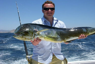 Incredible Excursions, Tours & Boat Rentals in Cabo image 190