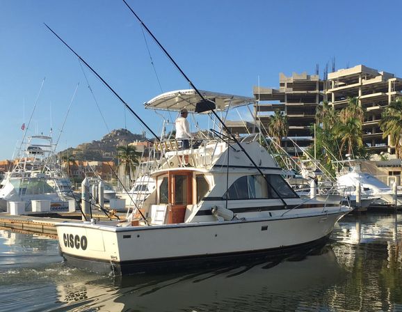 Incredible Excursions, Tours & Boat Rentals in Cabo image 158