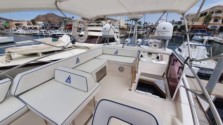 Incredible Excursions, Tours & Boat Rentals in Cabo image 21