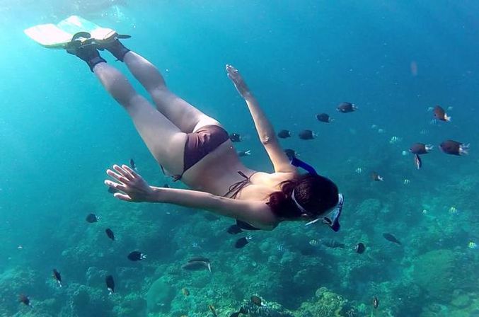 Incredible Excursions, Tours & Boat Rentals in Cabo image 209