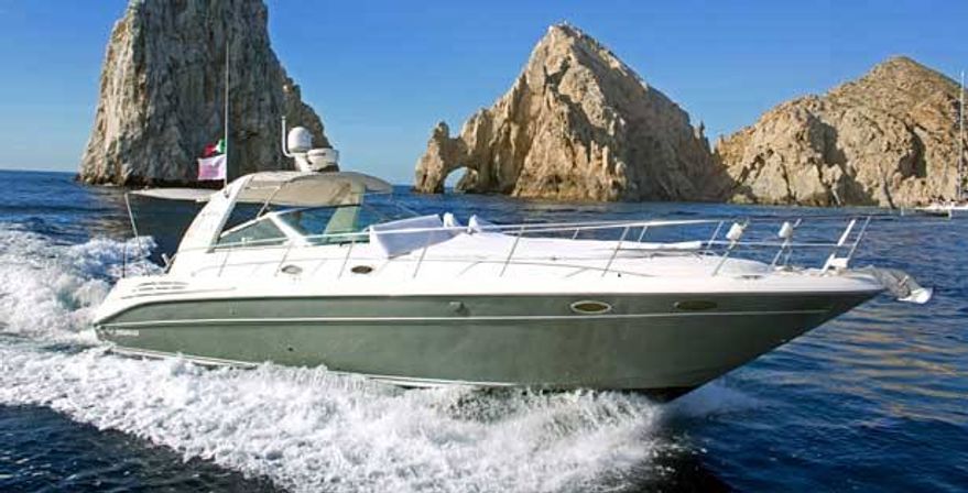 Incredible Excursions, Tours & Boat Rentals in Cabo image 137