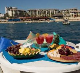 Incredible Excursions, Tours & Boat Rentals in Cabo image 59