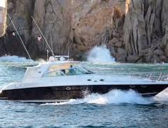 Incredible Excursions, Tours & Boat Rentals in Cabo image 55
