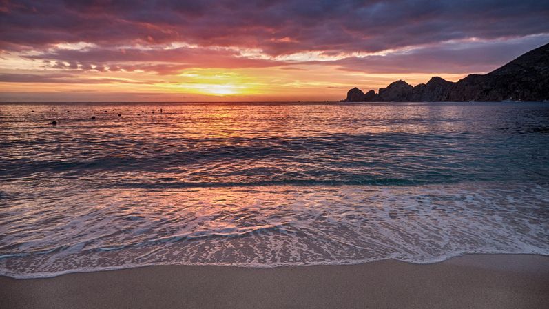 Incredible Excursions, Tours & Boat Rentals in Cabo image 70